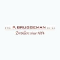 P. Bruggeman