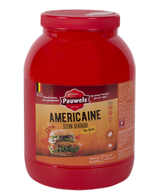 PAUWELS AMERICAIN 3 LIT