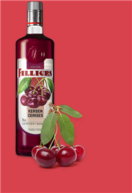 Filliers fruit kersenjenever 20° 1l