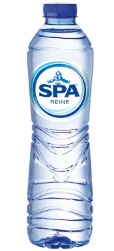 SPA REINE 24 X 0.5L PET